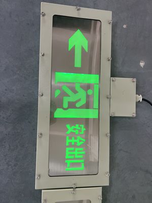 ATEX CE IP66 認証 防爆 LED 非常口マーカー 5700KCCT 3W 高輝度 LED 光源 化学プラントおよびガソリンスタンド用