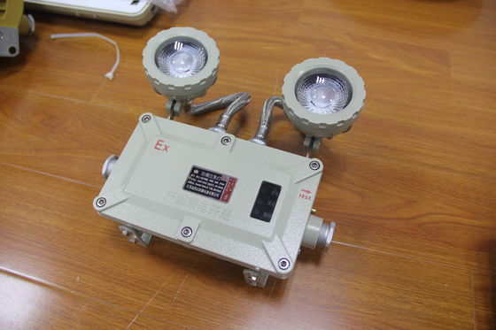 ATEX Explosion-proof LED Emergency Light 220VAC 50HZ 24VDC IP66 Explosion-proof Lamp Double Head