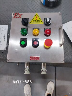 M/G/NPT カスタマイズ可能な穴 ステンレス鋼 防爆ジャンクションボックス Exd II C T6 Gb Ex-Mark