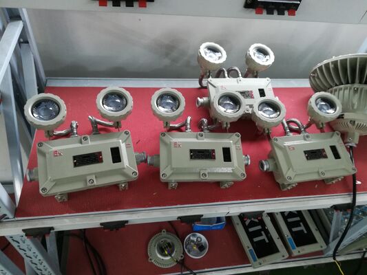 防爆型二重ヘッドアルミニウム合金シェル非常灯 220VAC/24VDC 安全性 IP66 LEDライト