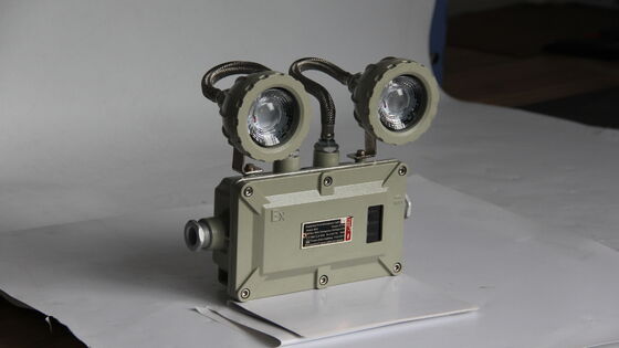 ATEX×CNEX 220VAC 50Hz CCT 4500-6500K パーソナライズ可能な防爆非常用灯