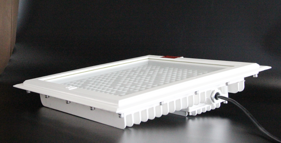 爆発耐性LED洪水照明 高明るさ100-250W 最大5700K CCT ガソリンスタンドの危険地帯の5年間の保証
